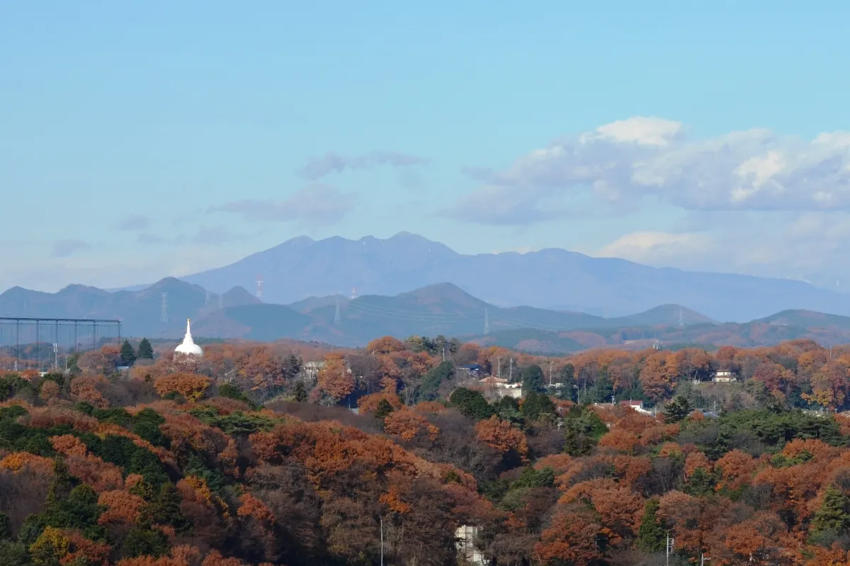 高原山