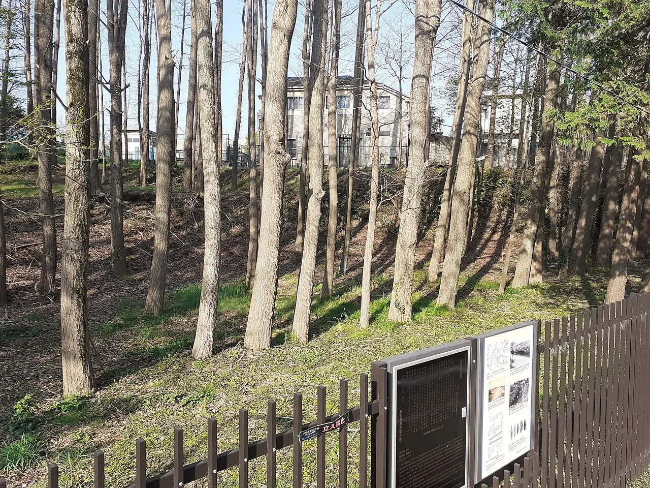 茂呂遺跡