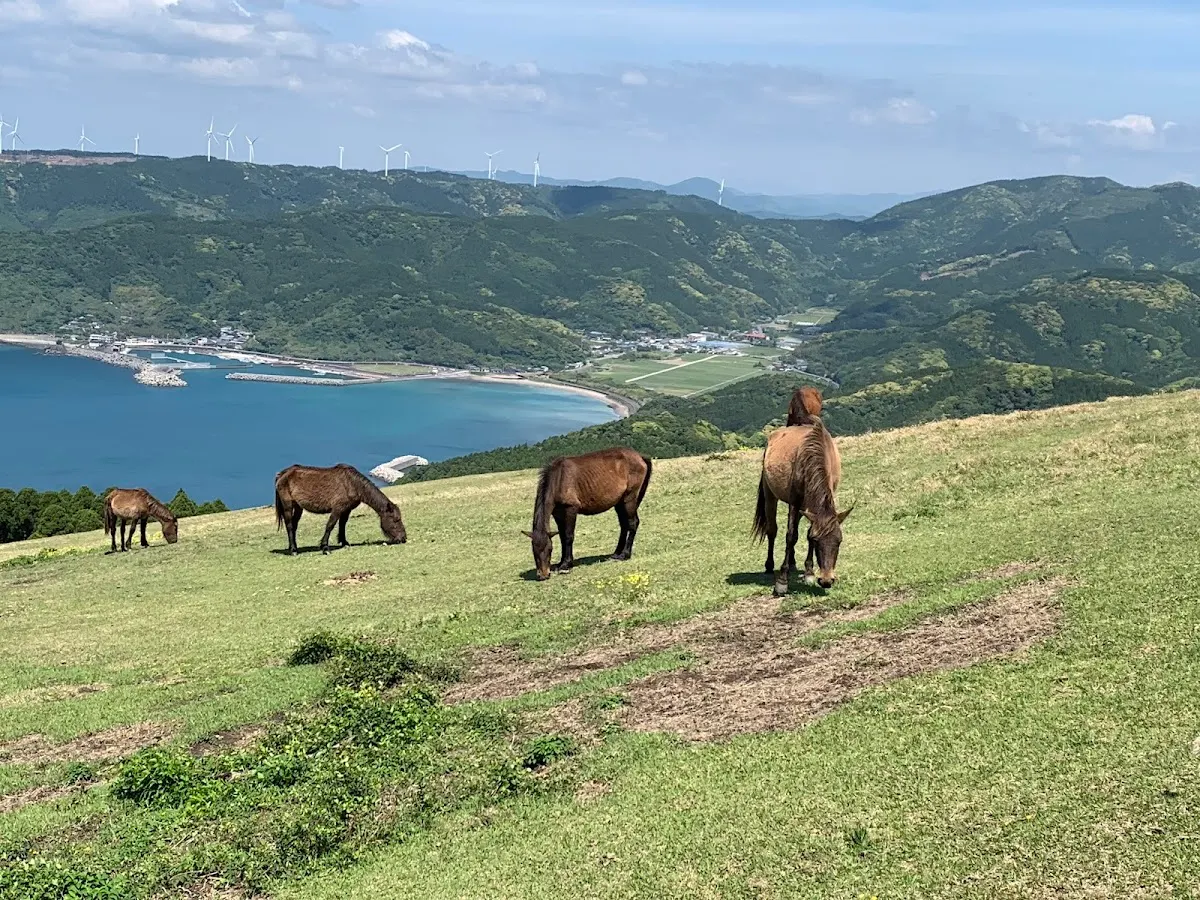 都井岬