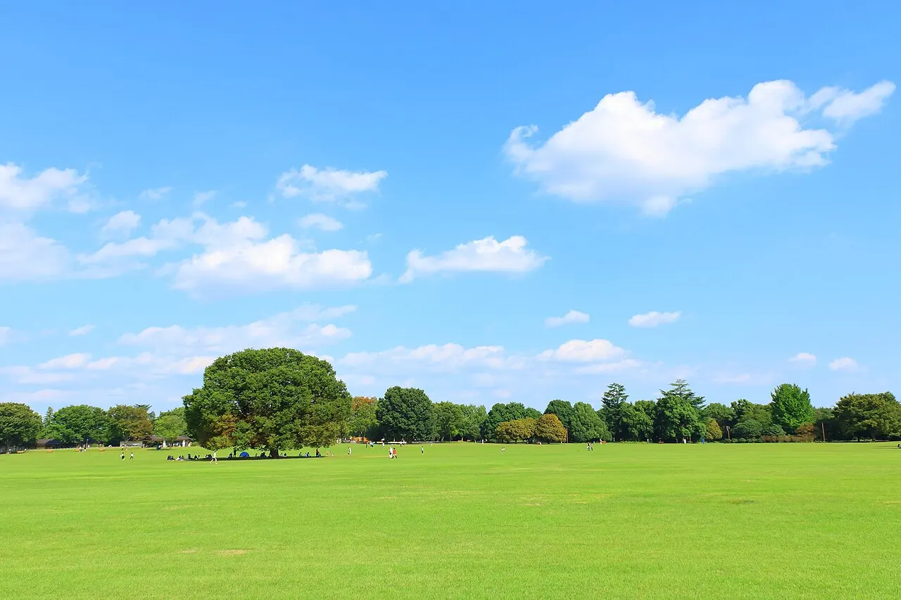 国営昭和記念公園