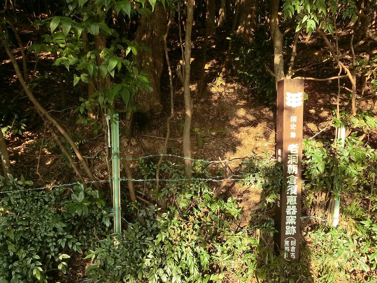 老洞・朝倉須恵器窯跡