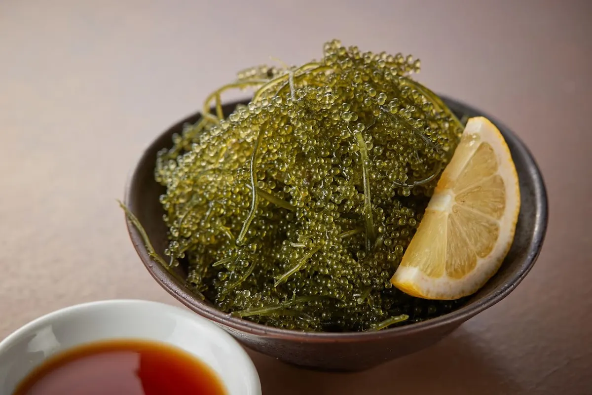島唄ライブ沖縄民謡居酒屋 ORION