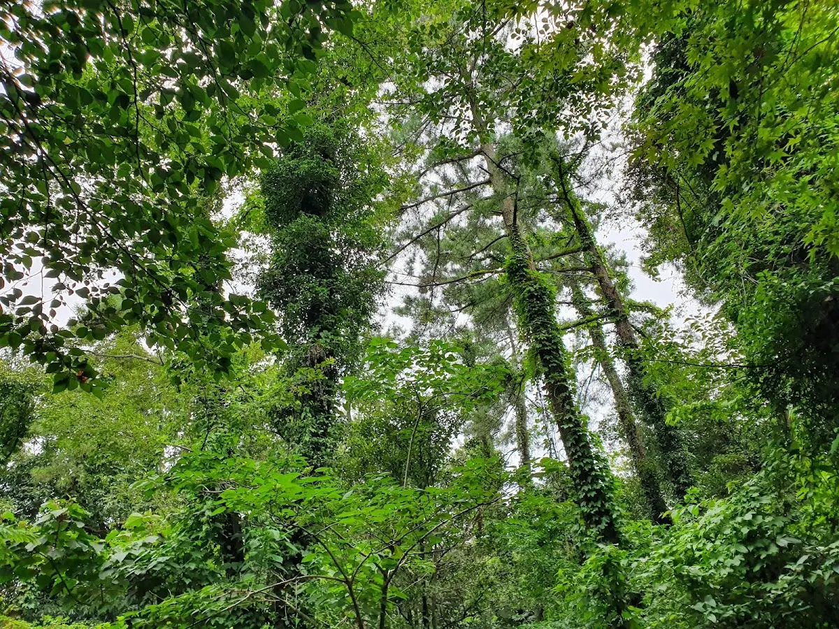 발자국화석공원(パルジャグクファソクコンウォン)