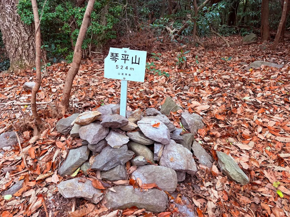 琴平山