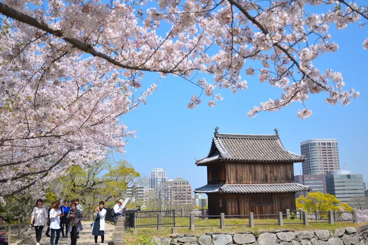 福岡城跡