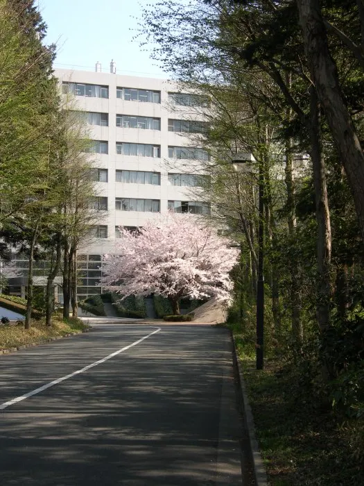 相模原で宇宙と古代の歴史を巡る旅