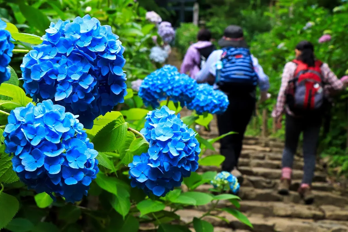 大平山