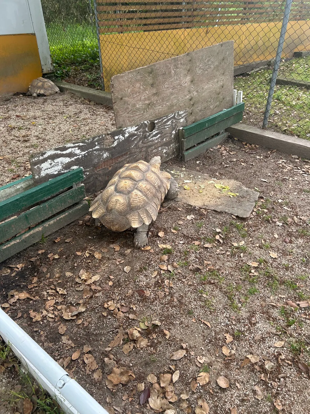 大山トム・ソーヤ牧場