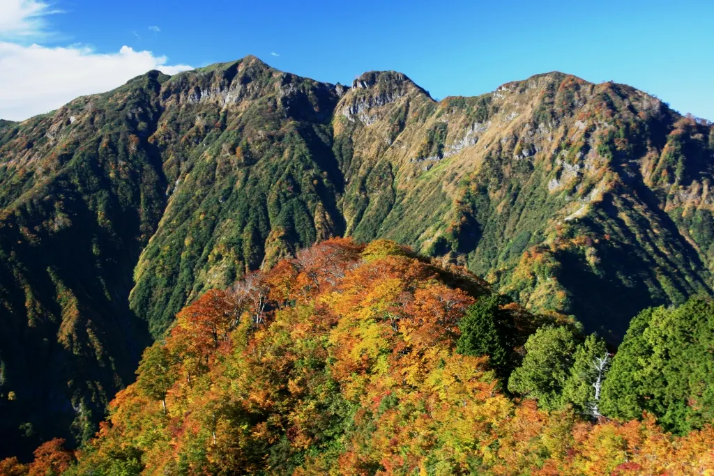 笈ヶ岳