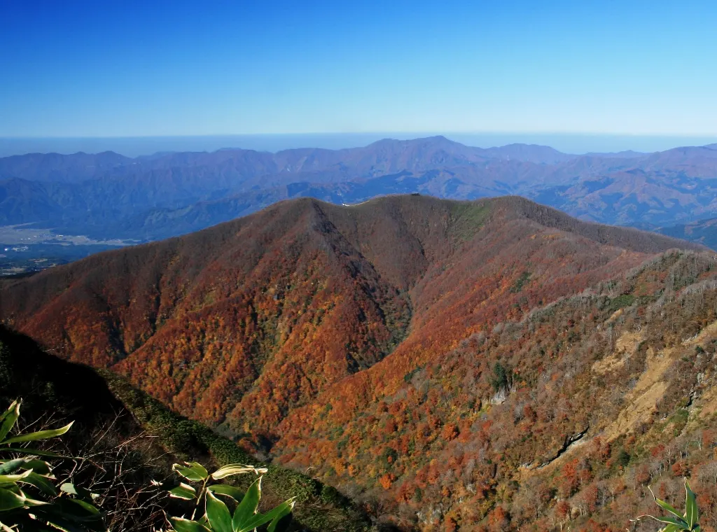 法恩寺山