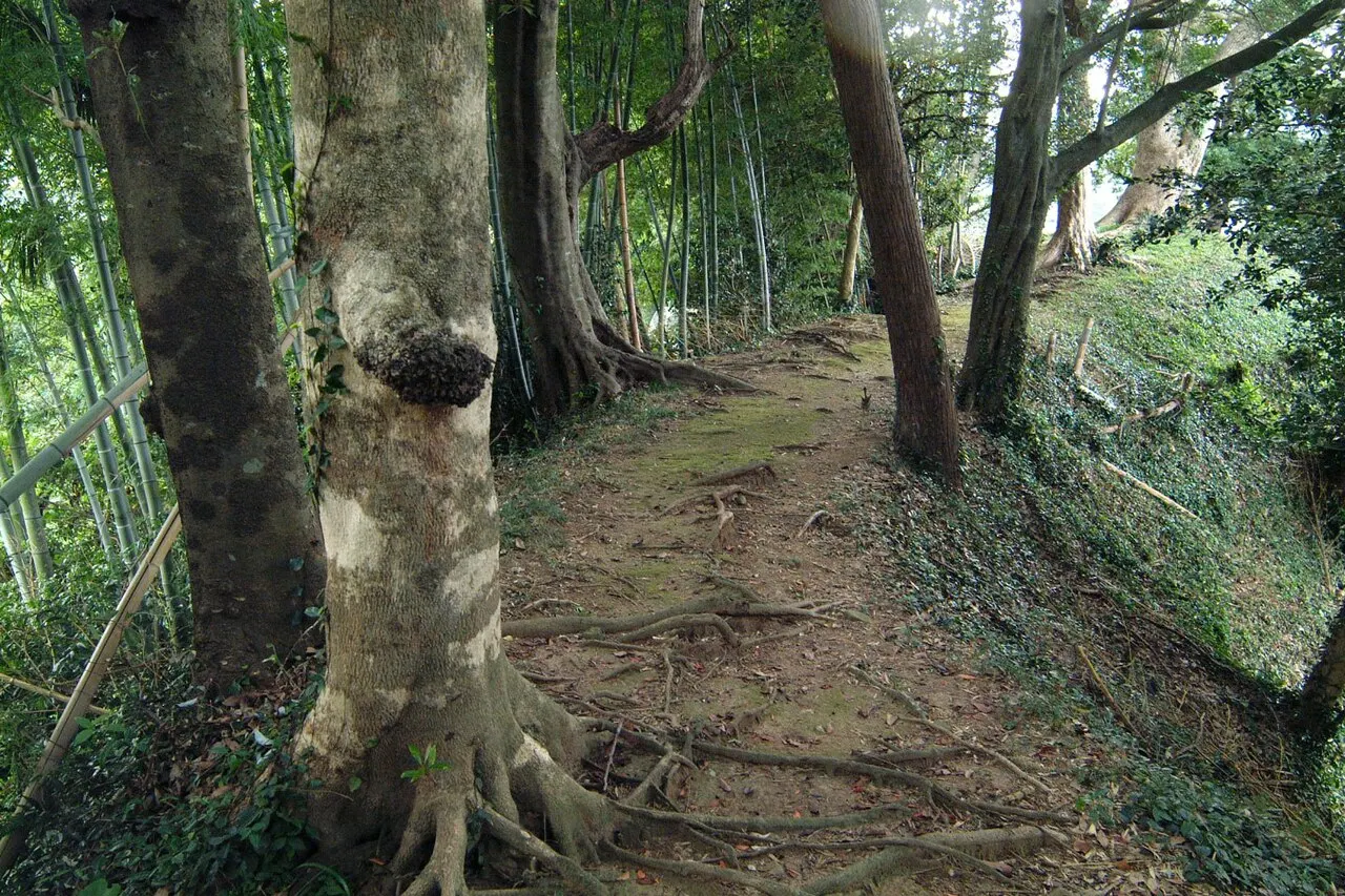 怡土城