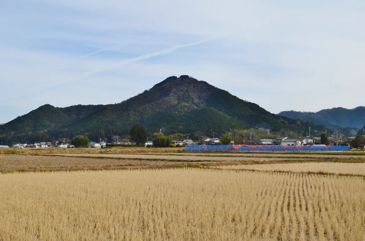 八上城