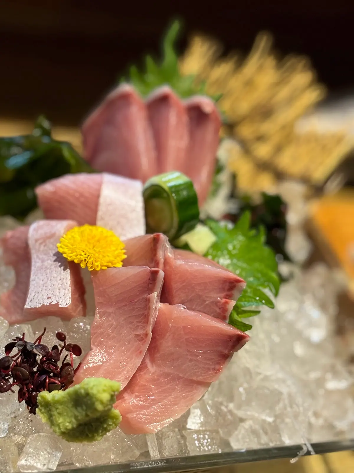 越前鮮魚と炭火焼 炭と魚 鯖江店