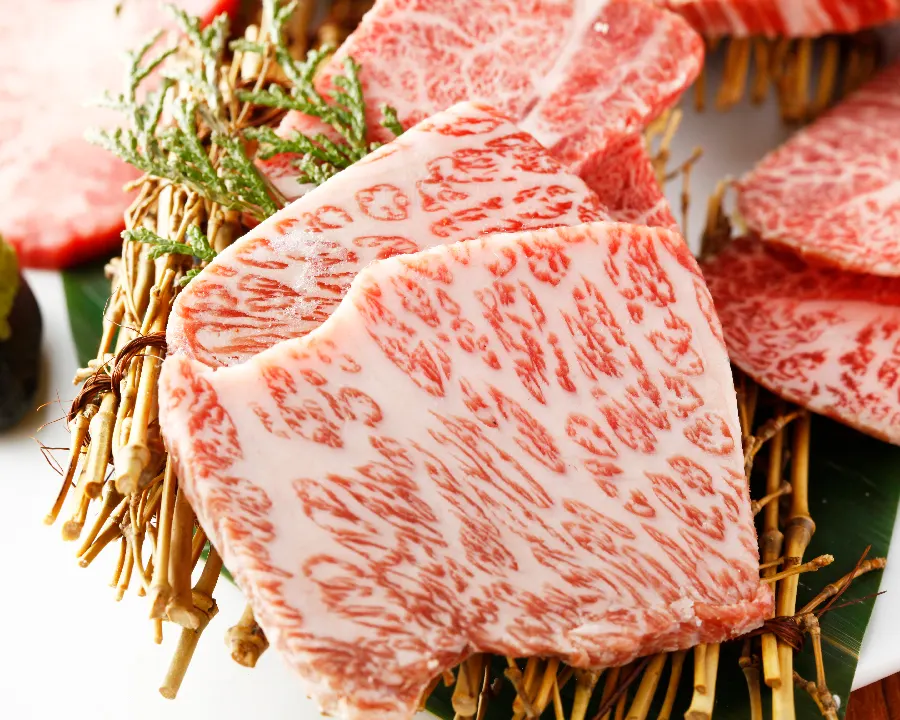 コラボ KollaBo 焼肉 韓国料理 エビスタ西宮店