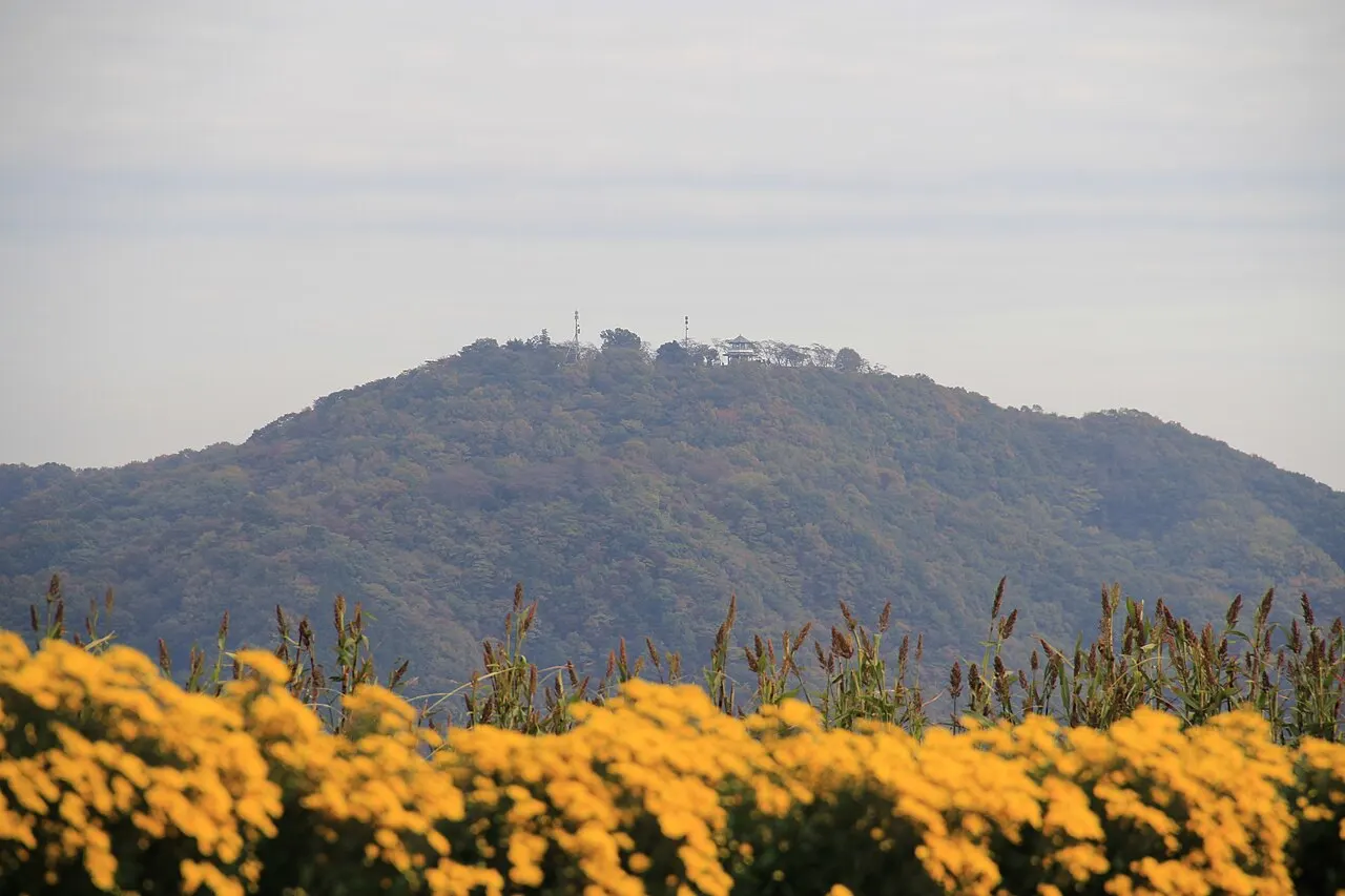 弘法山