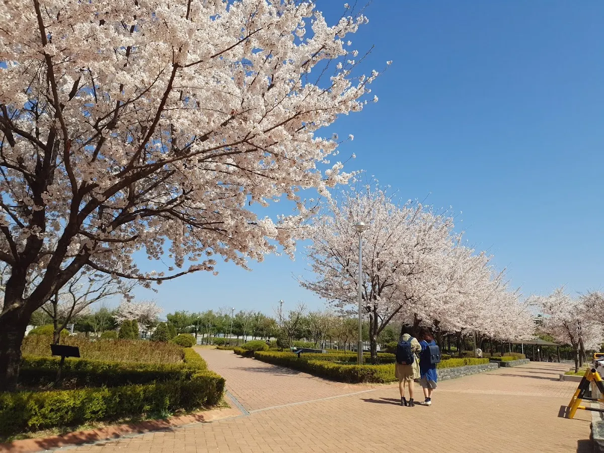 마루공원（マル公園）