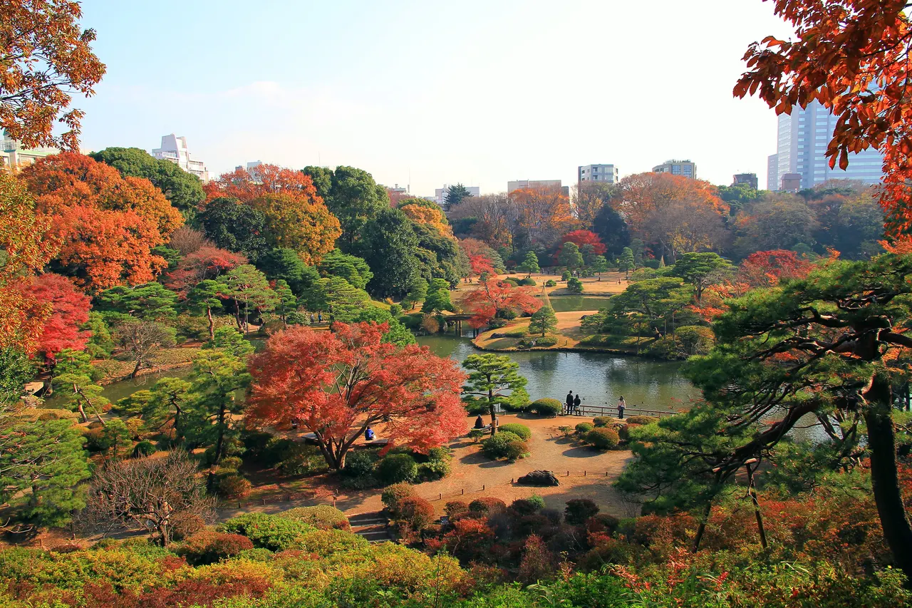 東京・都会の喧騒を離れて日本庭園で紅葉を愛でる秋の東京さんぽ モデルコース 1泊2日