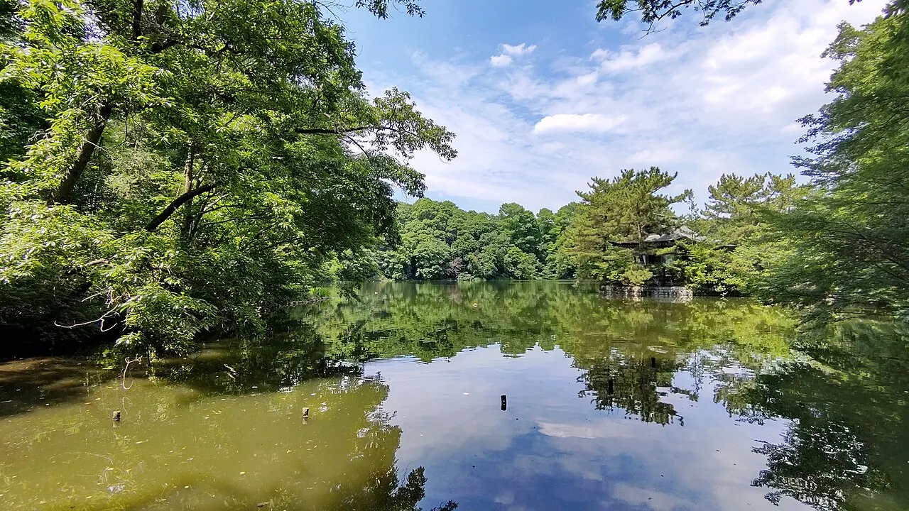 石神井公園