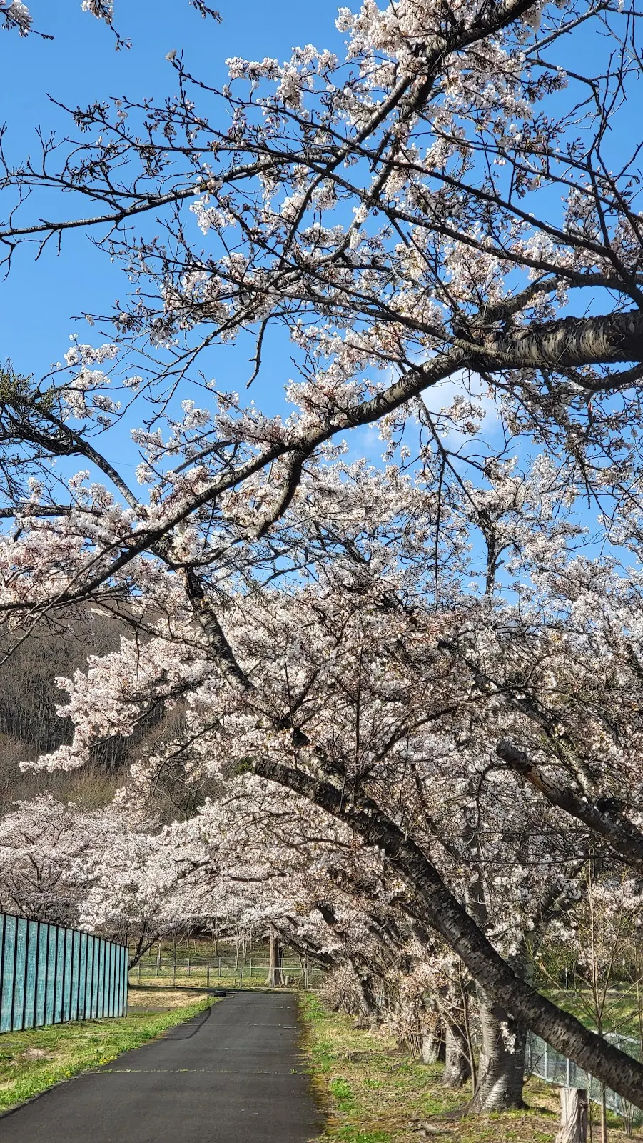 花巻温泉郷県立自然公園