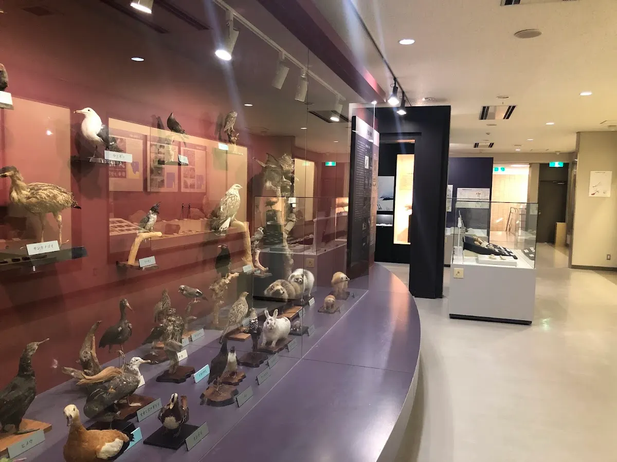 佐渡市立佐渡博物館