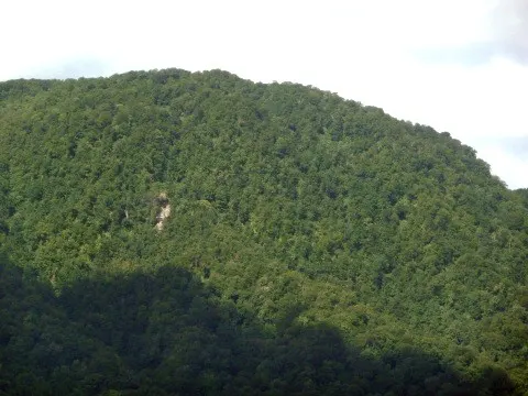 現頭倉