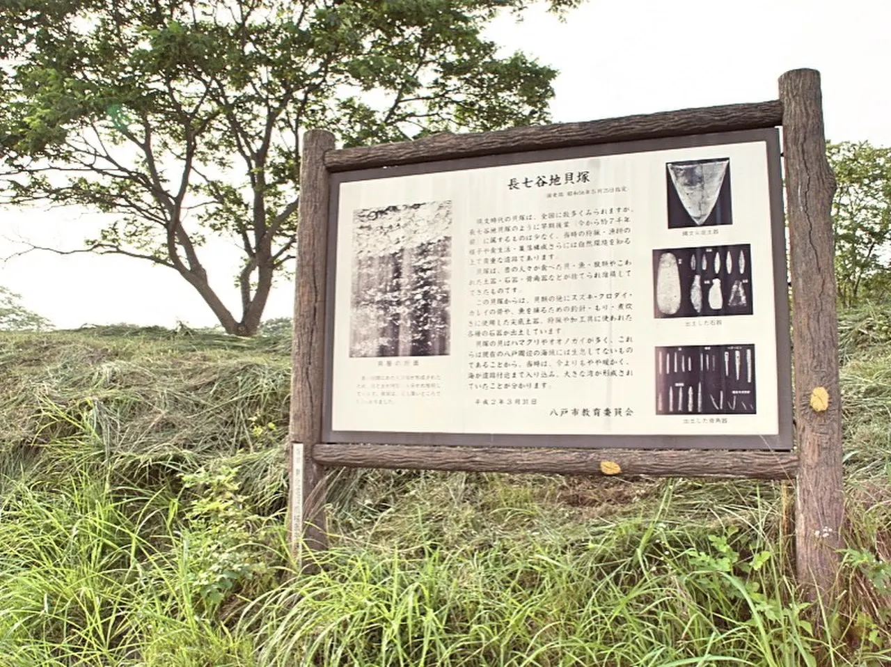 長七谷地貝塚