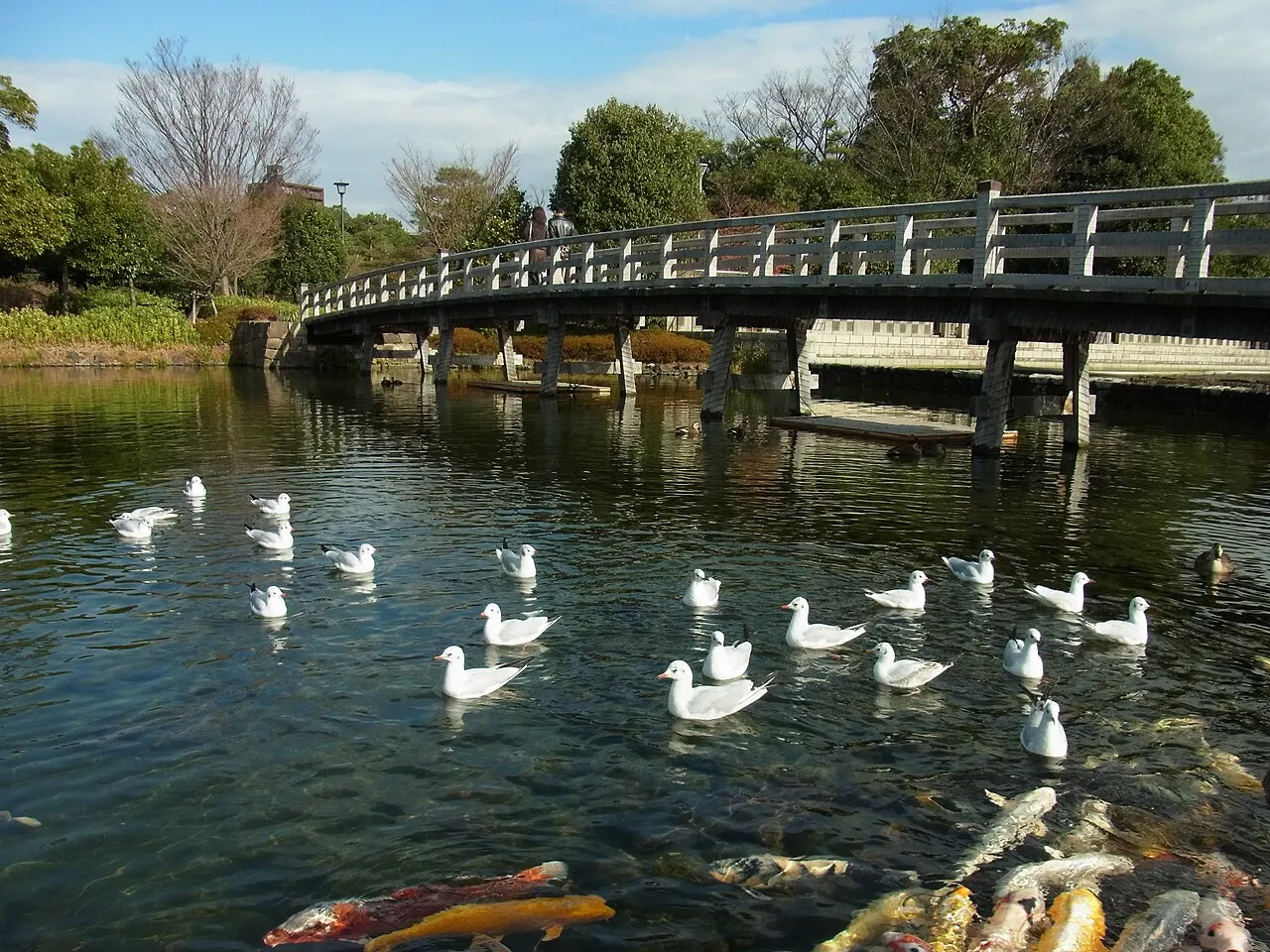 白鳥庭園