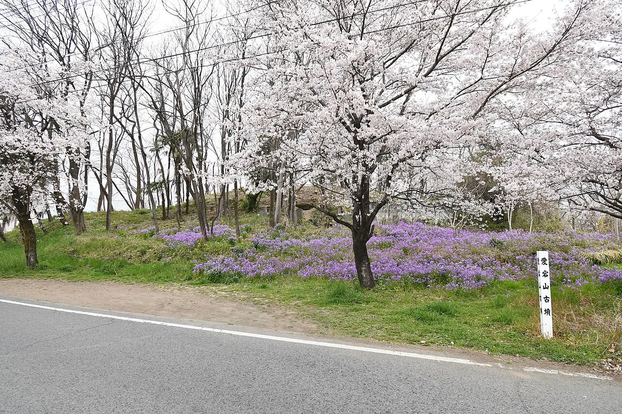 総社愛宕山古墳