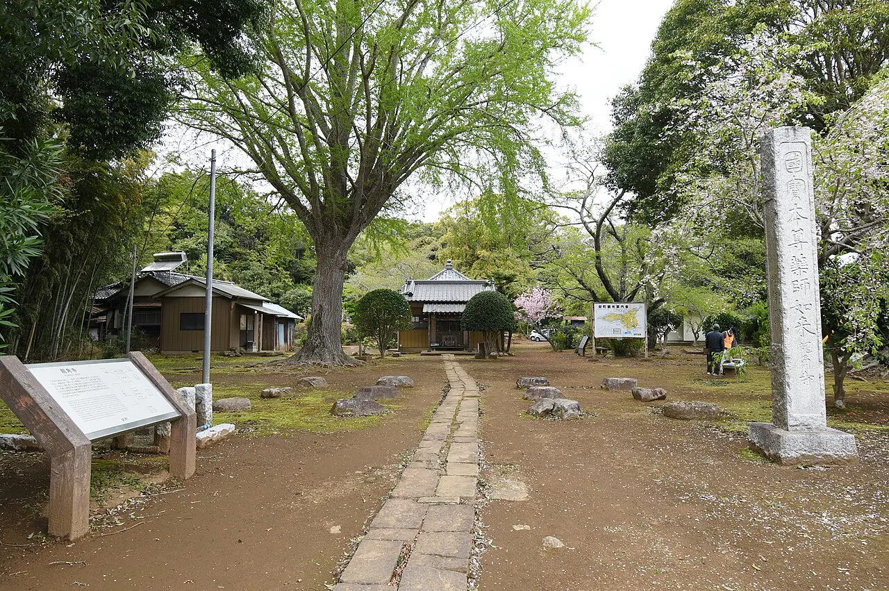 龍角寺 (寺院)