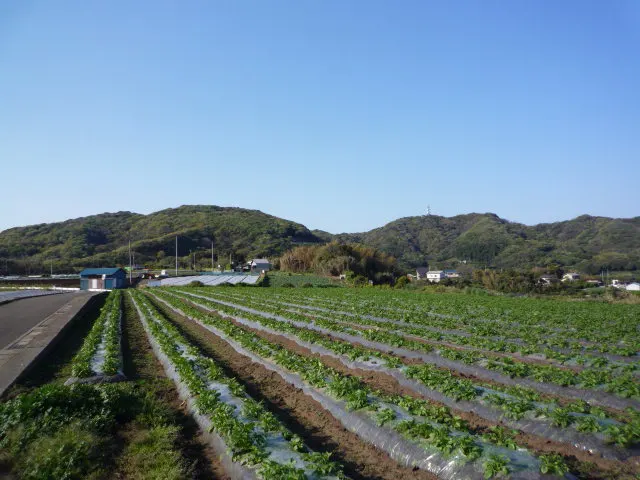 武山