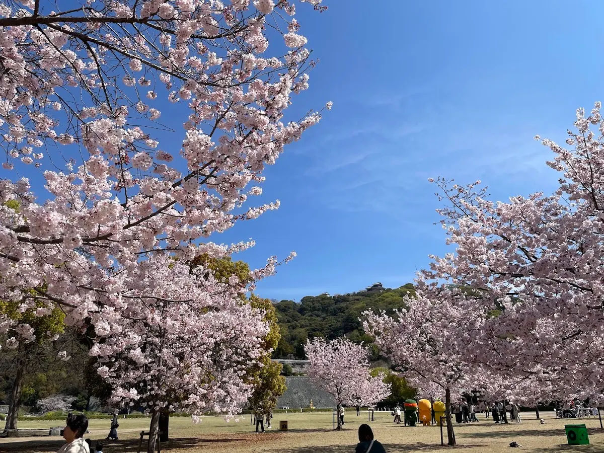 城山公園