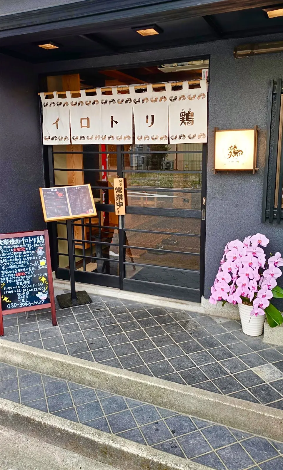 イロトリ鶏 肉と麺