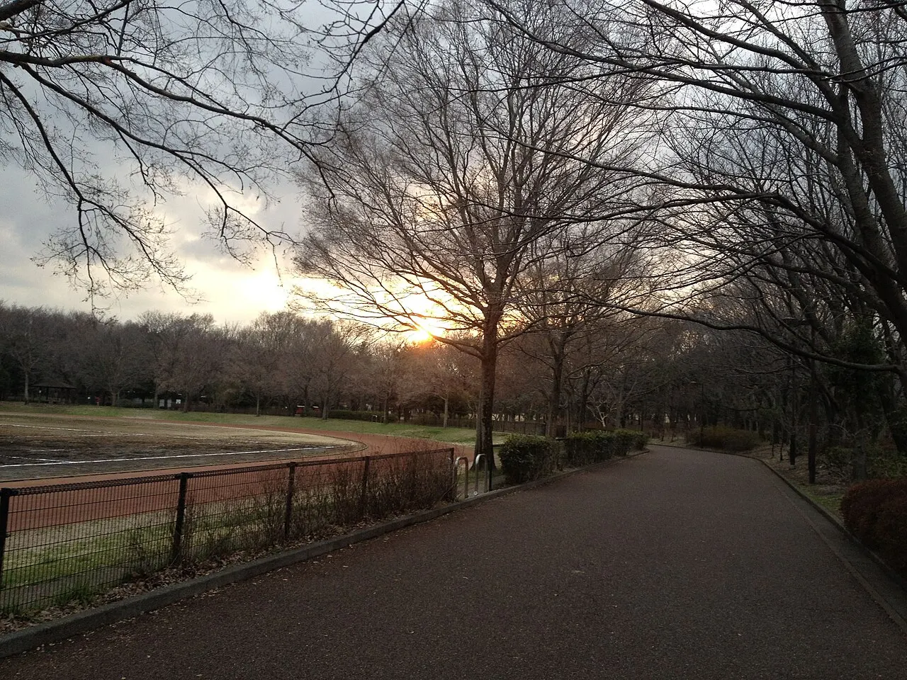 大泉中央公園