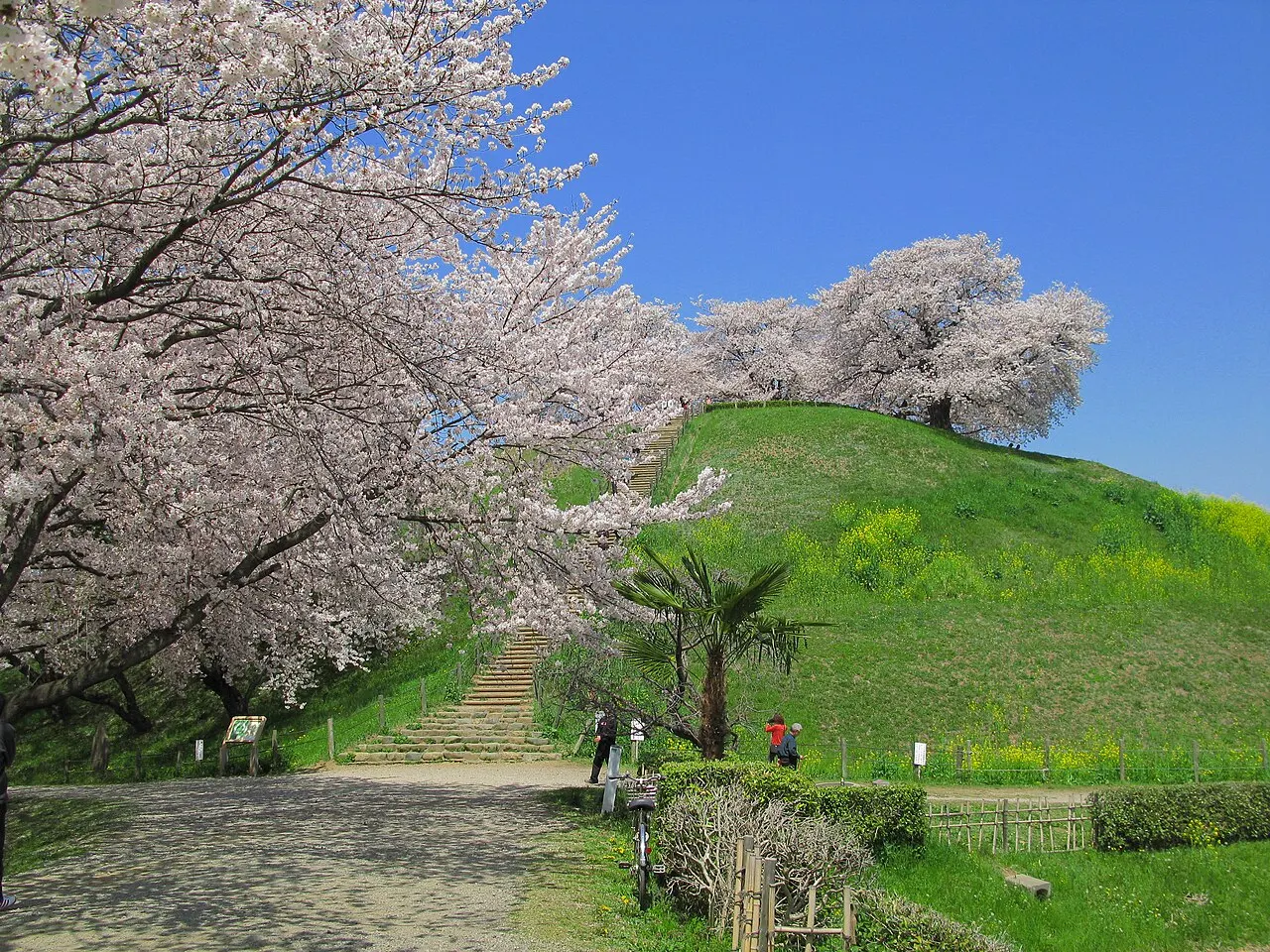 丸墓山古墳