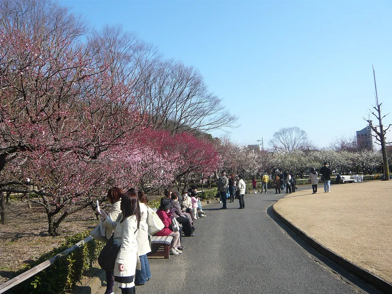 梅林公園