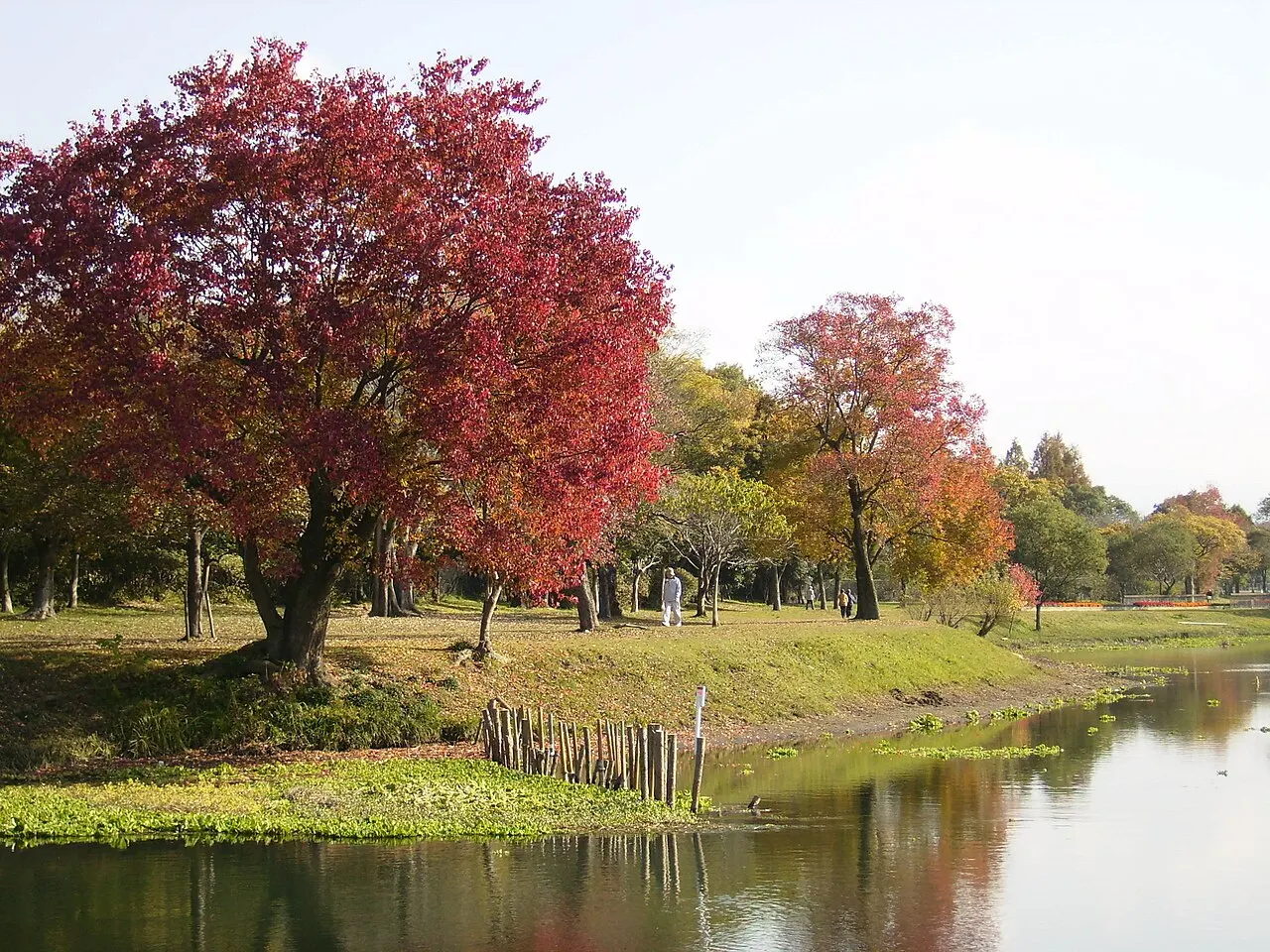 水前寺江津湖公園