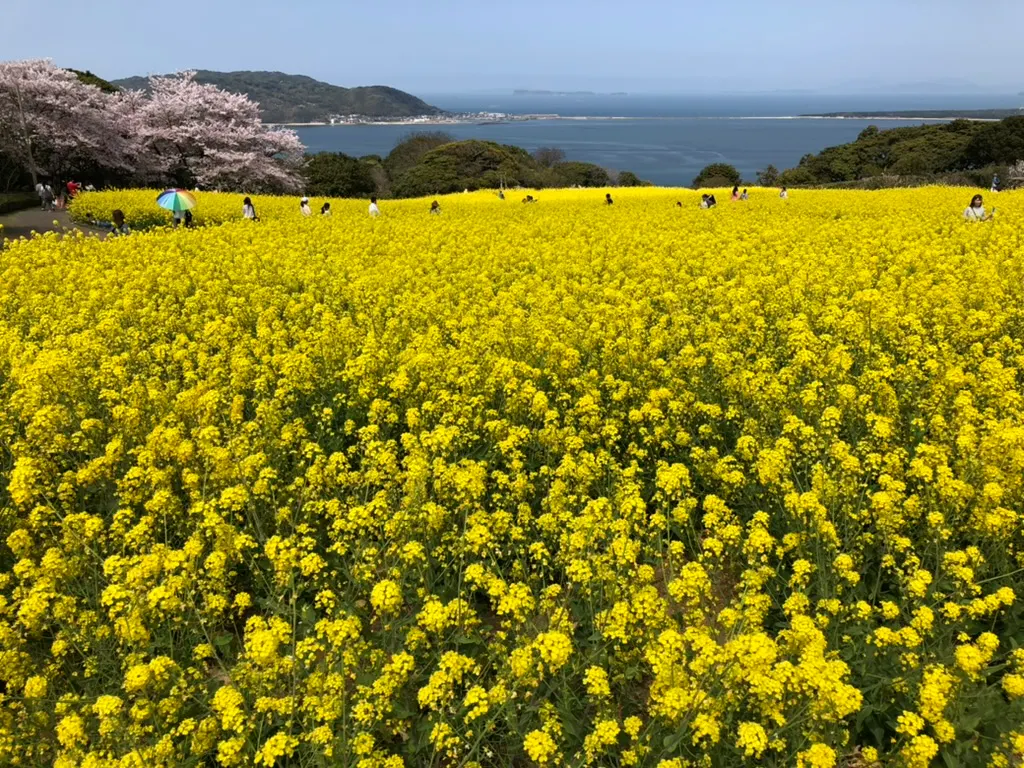 能古島