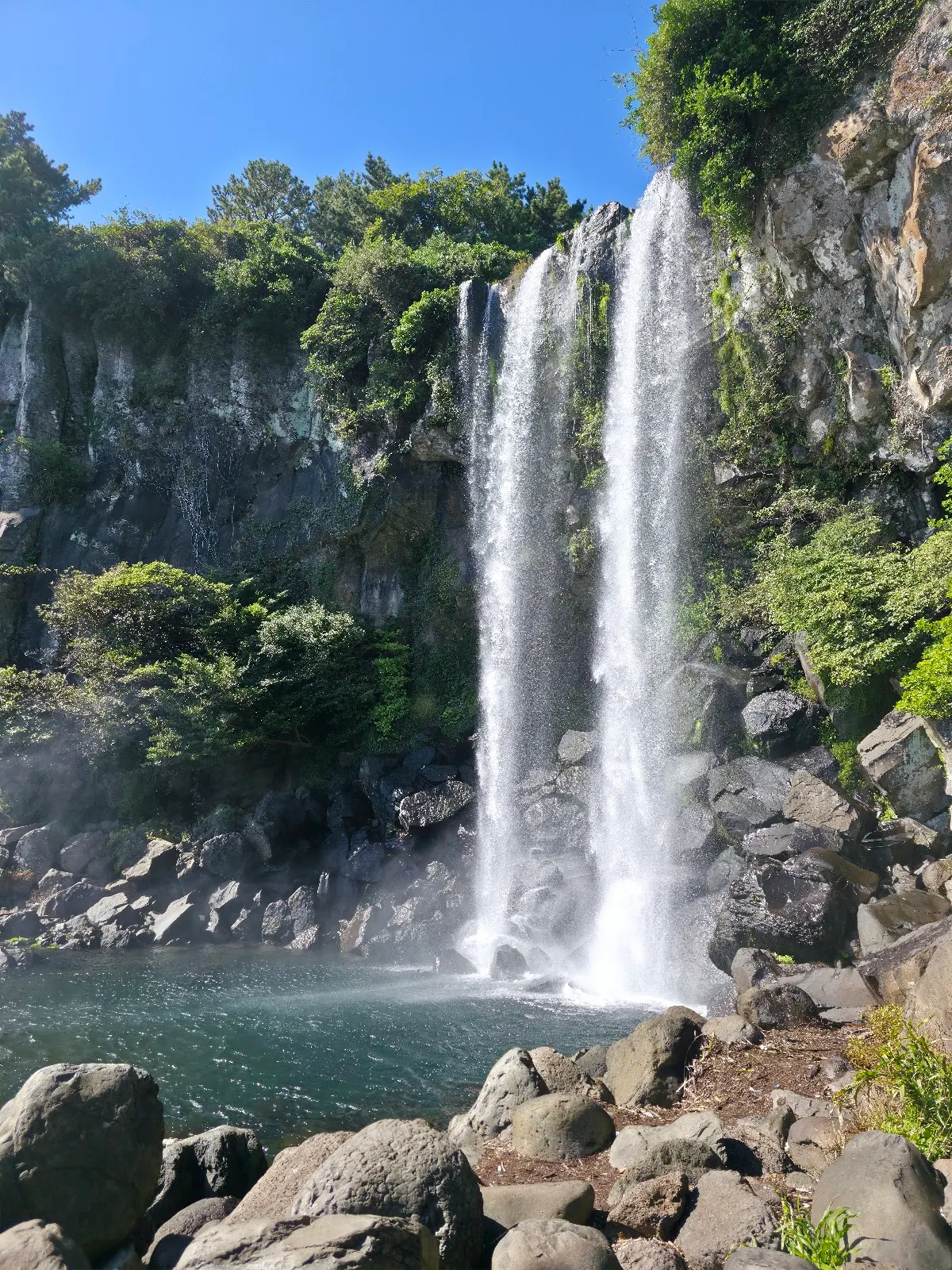 済州島