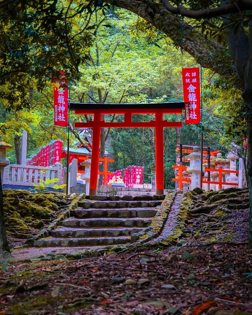 奈良・金運・開運のパワースポット!木漏れ日が美しい古社モデルコース(日帰り)