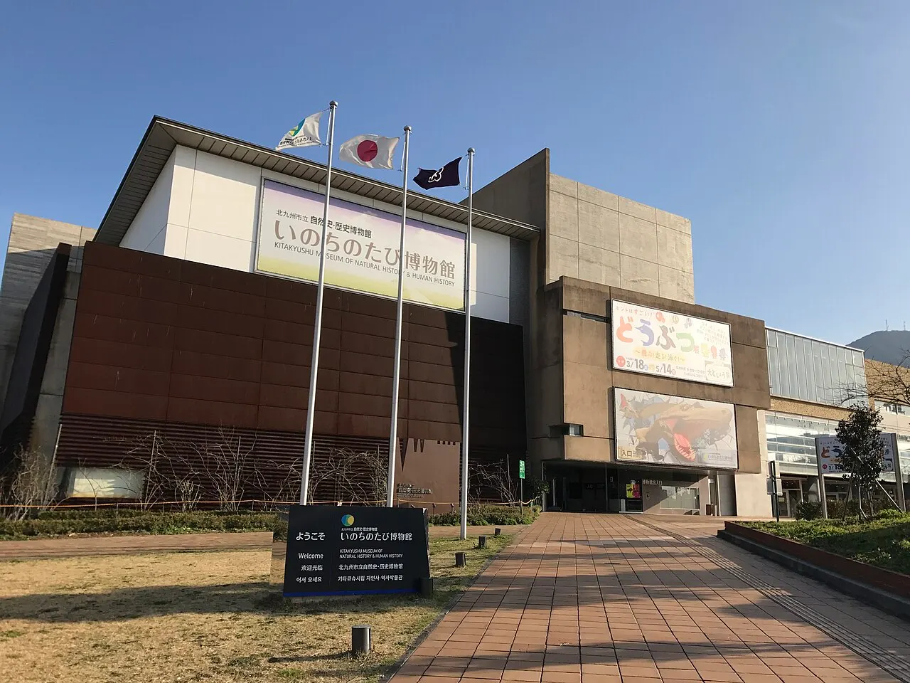 北九州市立いのちのたび博物館
