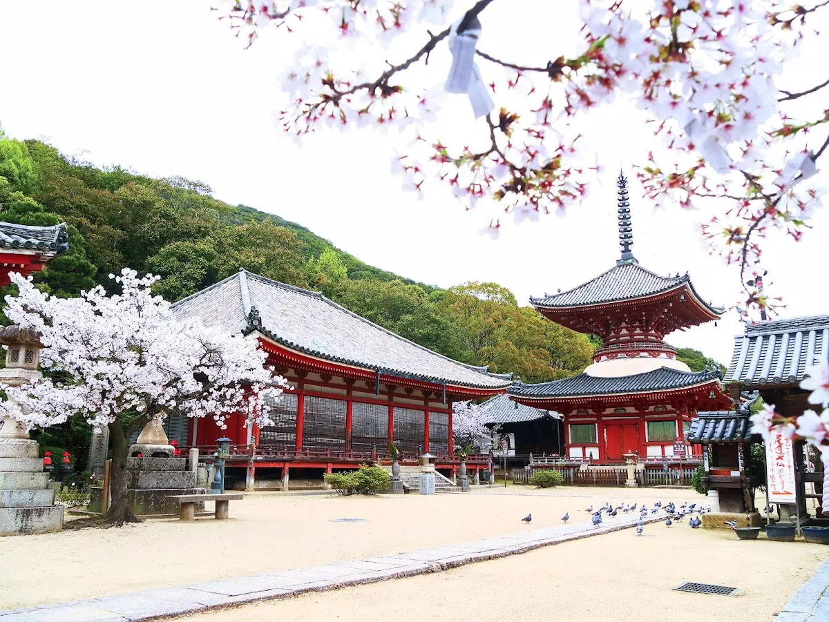 浄土寺