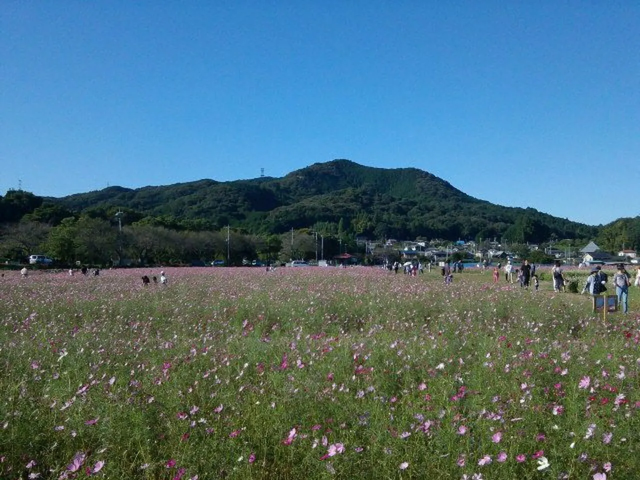 日和田山