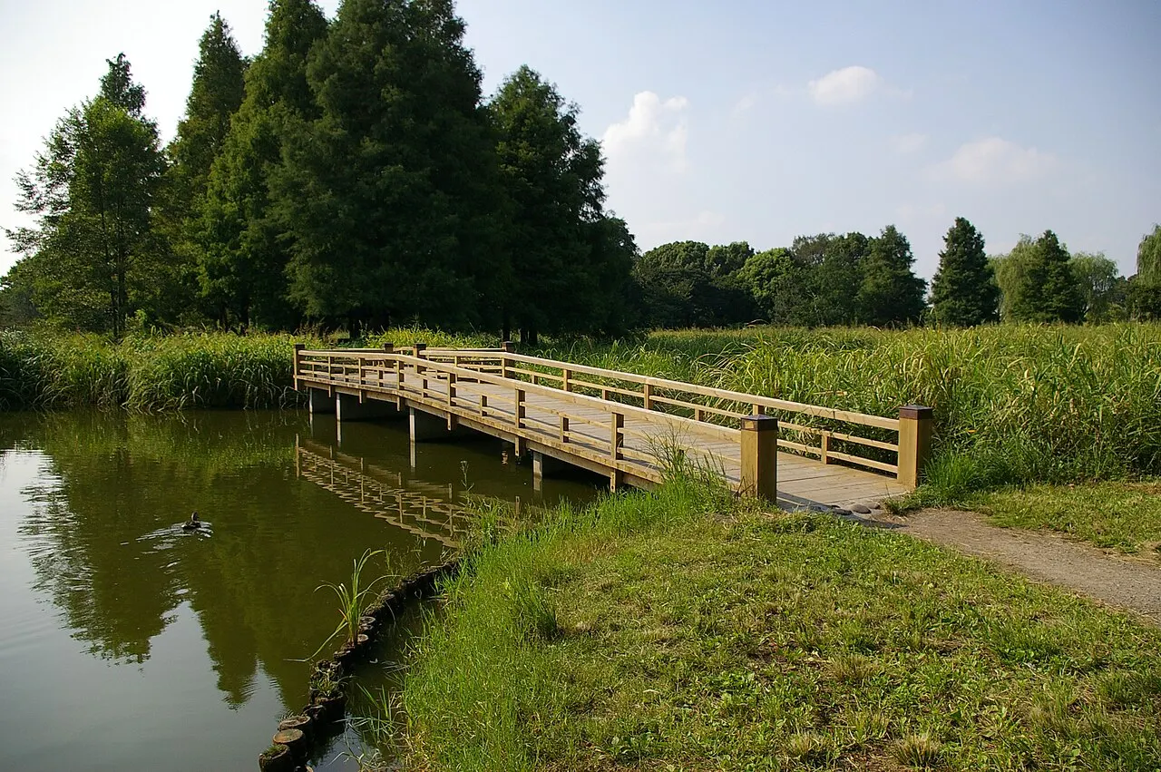 水元公園