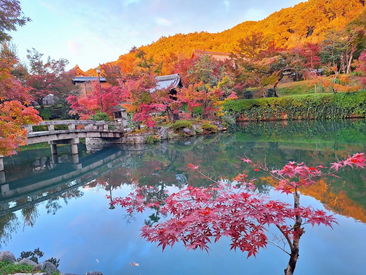 禅林寺