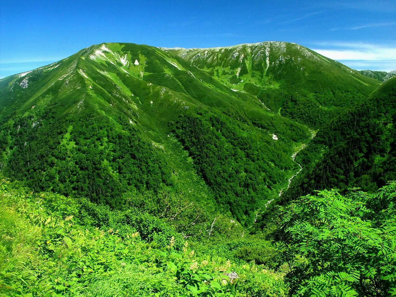 双六岳