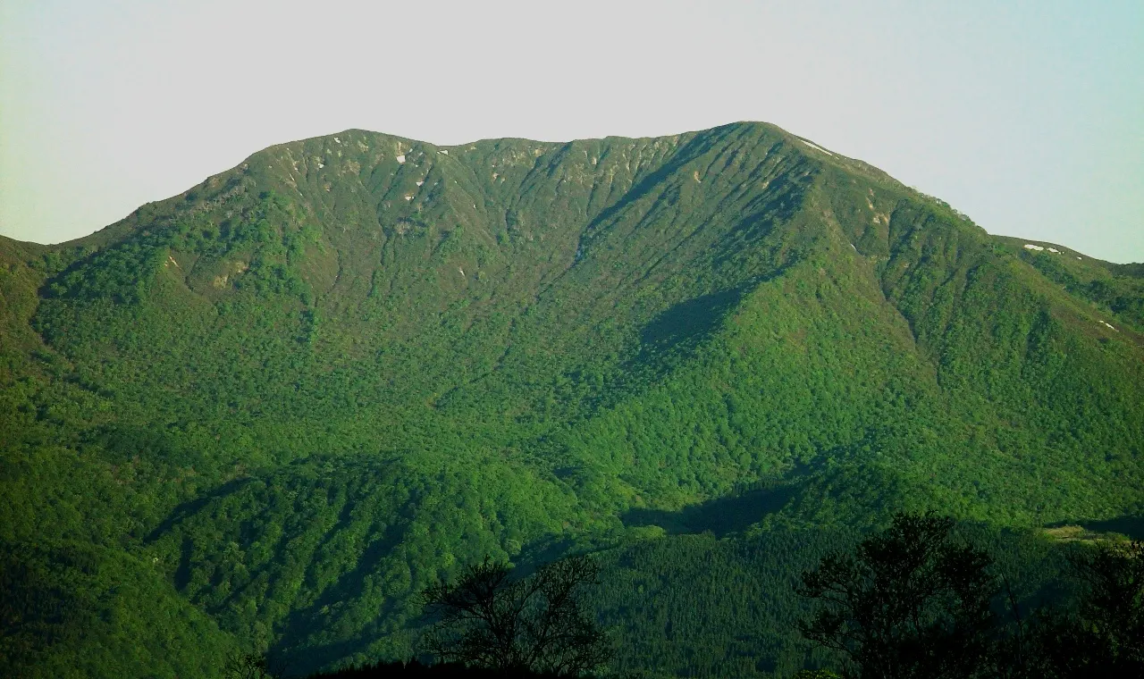 野伏ヶ岳