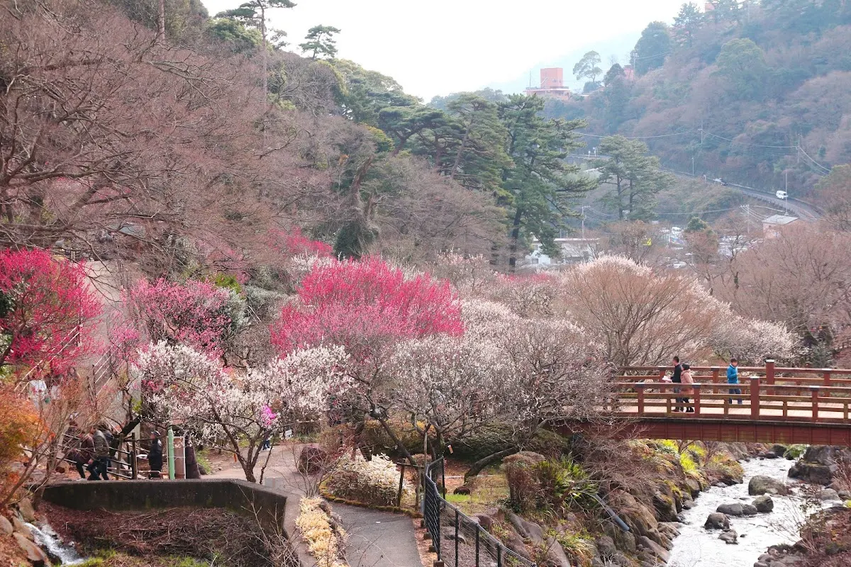 梅園