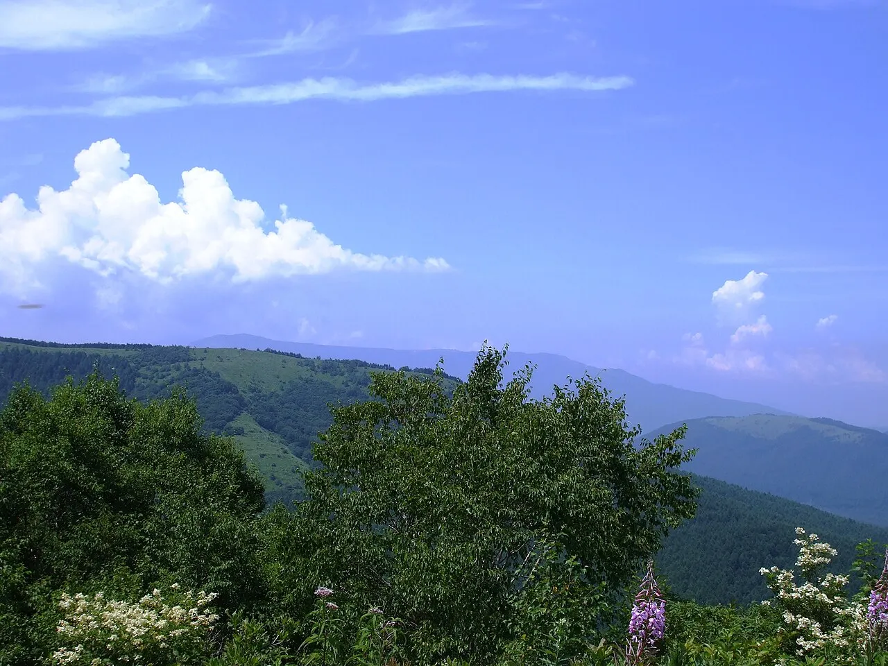 Mount Ōsasa