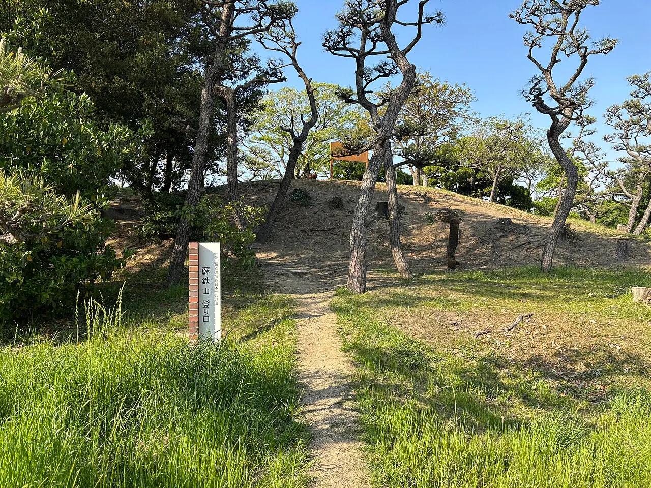 蘇鉄山