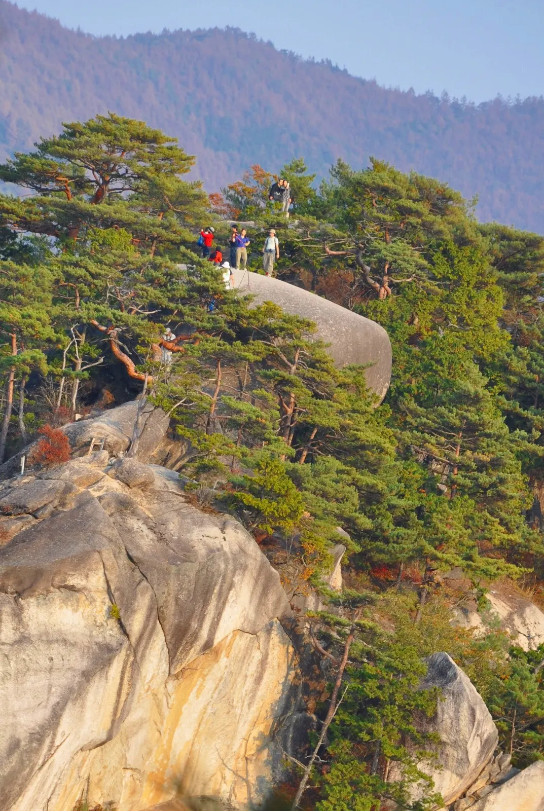 弥三郎岳
